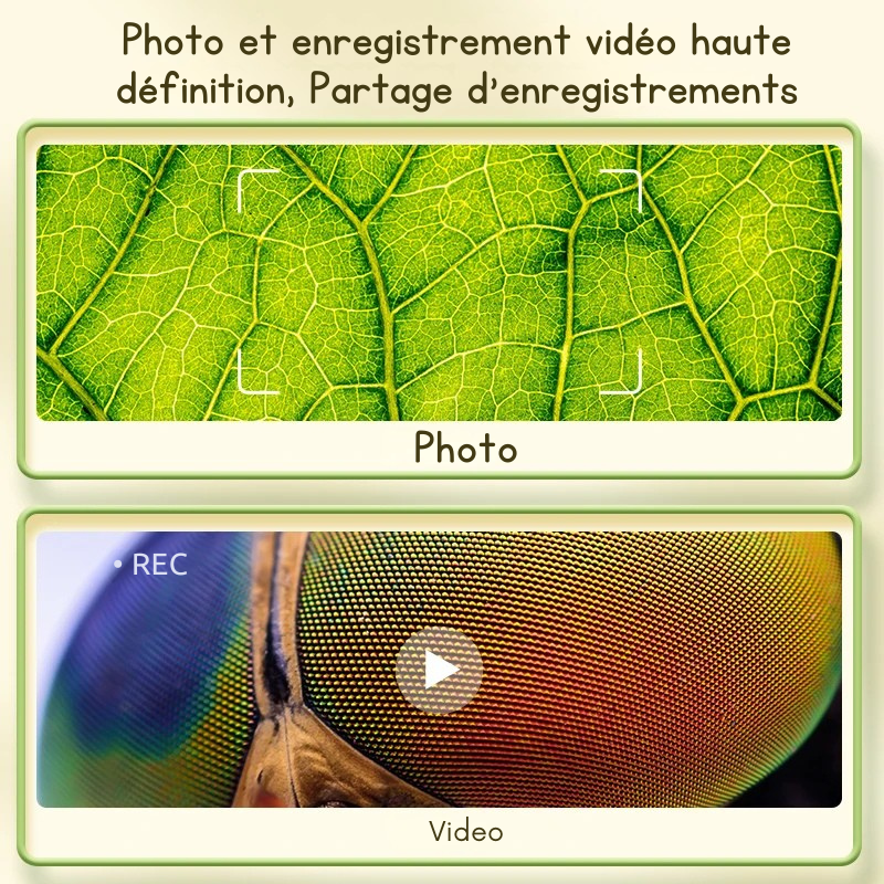 Microscope Portable Rechargeable 1000X